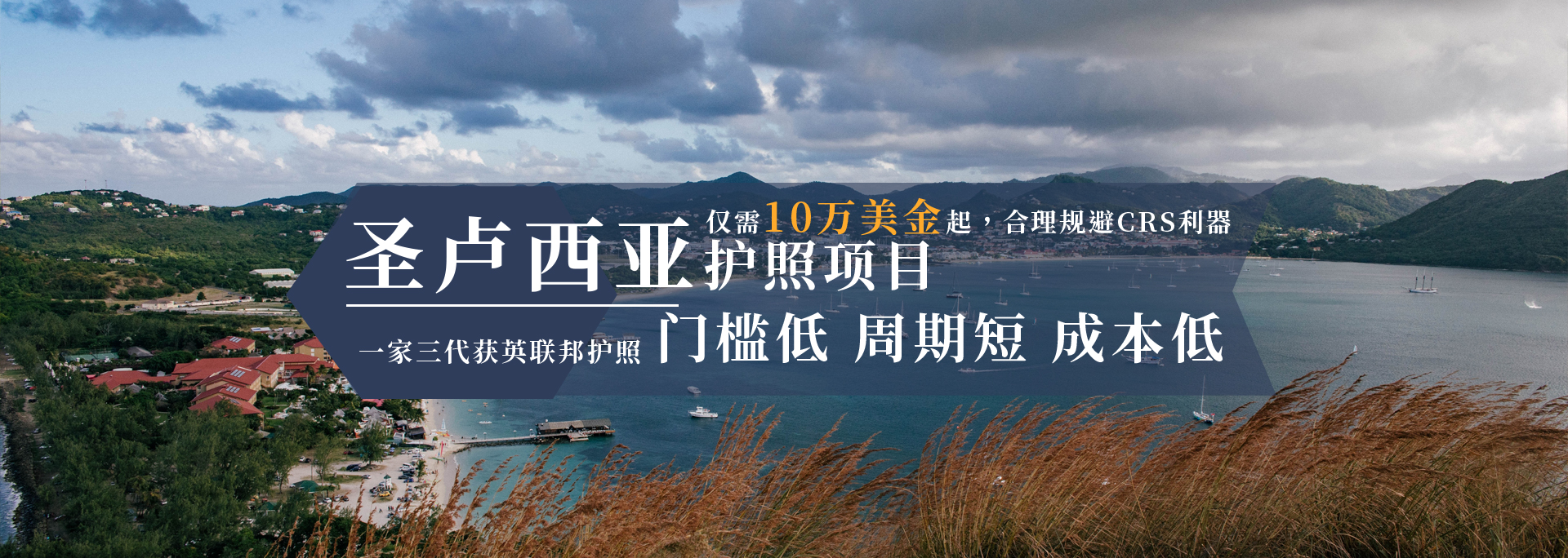 圣盧西亞移民